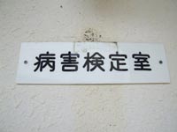 �a�Q���莺