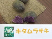 �L�^�����T�L
