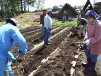 �A���t����ƕ��i