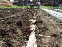 �m��~����