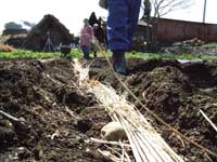 ������u��