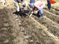 �����ē����