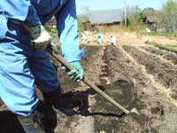 ����E����