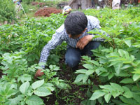 ���ނ���2