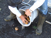 ���𐅐􂢂���