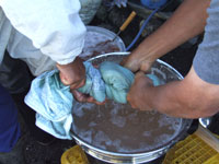 ���イ���イ���