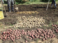 �L�^�A�J���̎��ʂ����Ȃ�