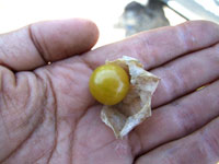 �H���ق�����3