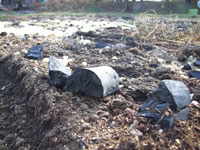 �Y���΂�T��