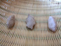 �N���R�̐F�̔����ȈႢ