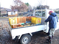 �����̂��āc