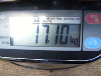 ���ƃP�[�X��17.1kg