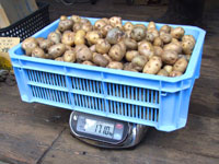 ���d�ʂ��v��