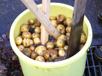 �܂��Ɉ�􂢏��