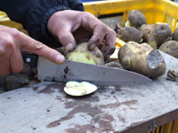 ���񂾕�����؂���