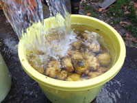 �����g���Ă��ꂢ��