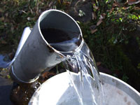 �����̖���