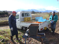 �����肨�낵�J�n