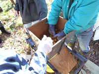 �����l�܂��ĉ��Ȃ�