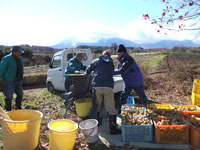 ��ԎR�ƈ𖀂�