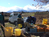 ��ԎR�ƈ����肨�낵