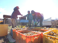 �𖀂�l����