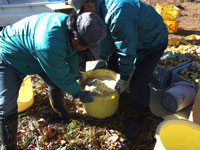 ���܂�����������^��