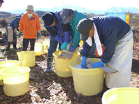 ���i��l����