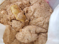 ���̍i�肩��