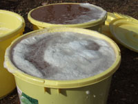 �����A������