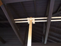 �V�䂩��݂�