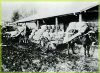 �n�鏒�̏W��