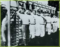 ���E�ɉH�΂����N���R