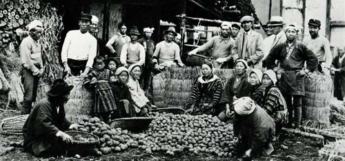 �n�鏒�̋����I��